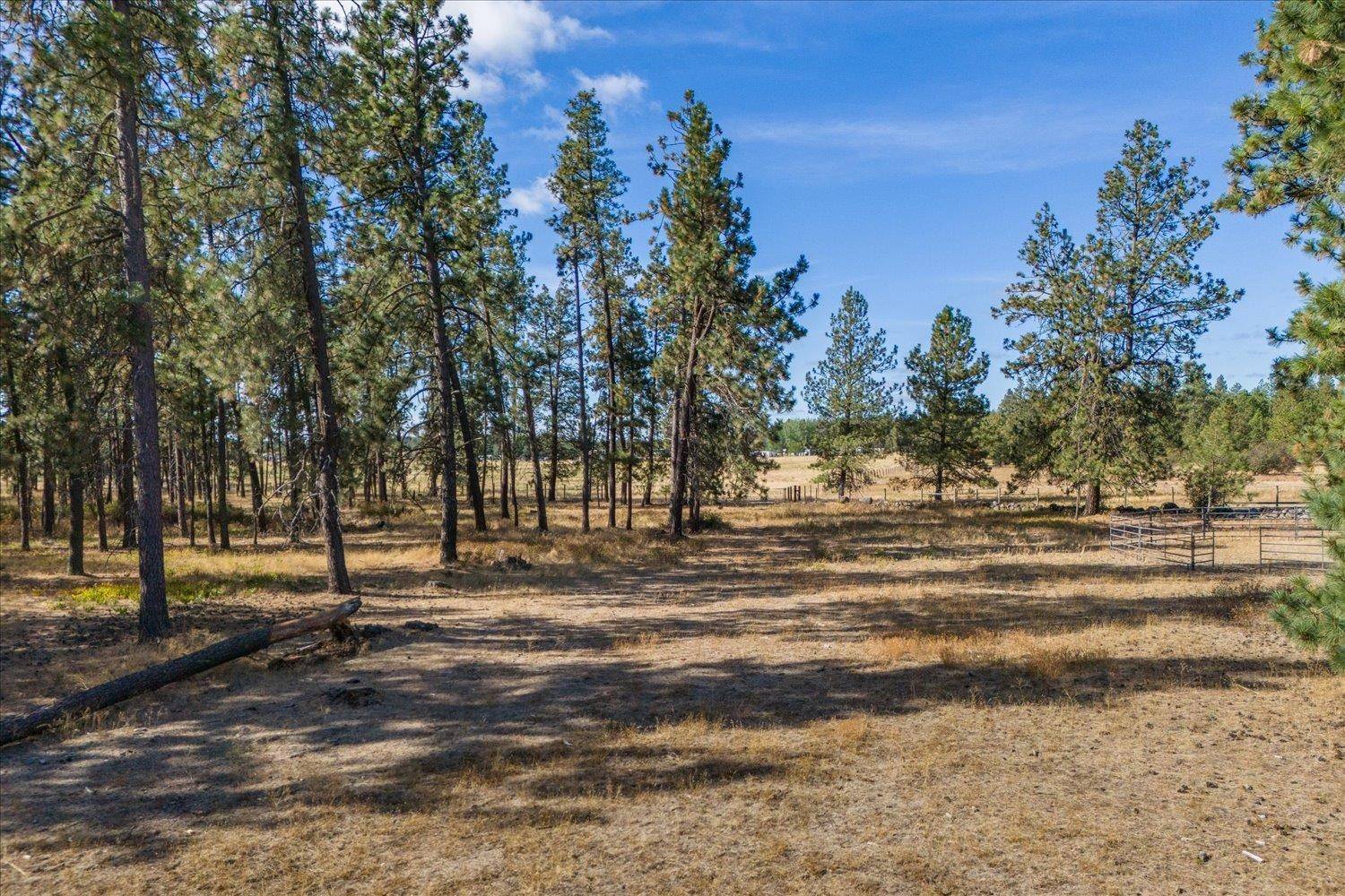 102D E Cameron Rd, Spangle, WA 99031