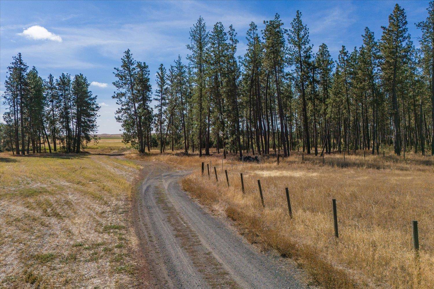 102E E Cameron Rd, Spangle, WA 99031