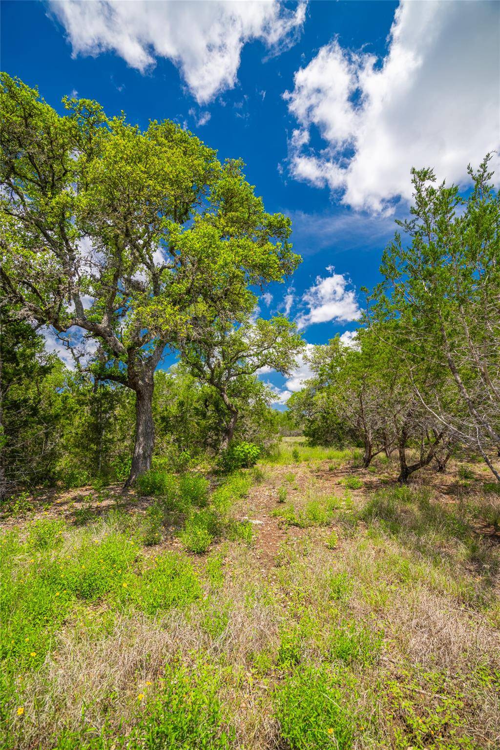Lot 8 FM 32, Blanco, TX 78606