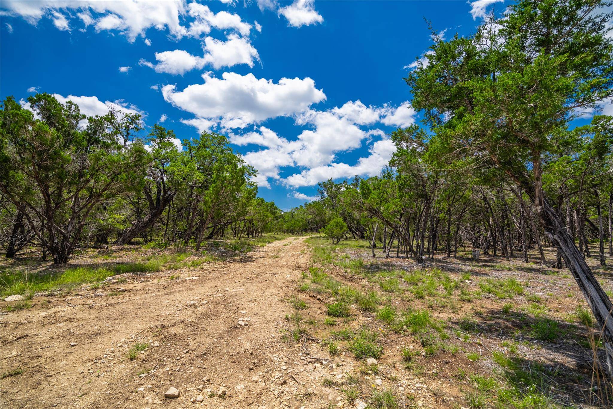 Lot 13 FM 32, Blanco, TX 78606