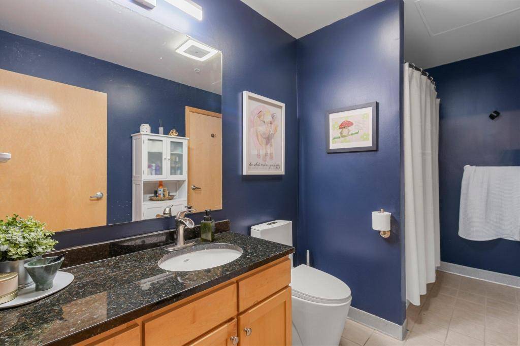 521 S 7th Street #223, Minneapolis, MN 55415