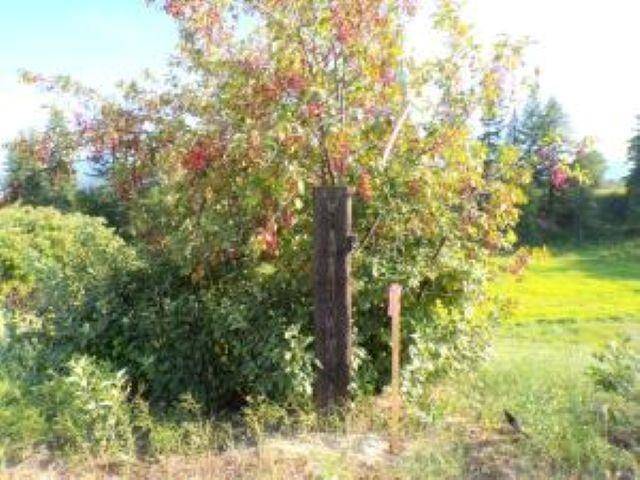 781 H HWY 395 Hwy, Kettle Falls, WA 99141