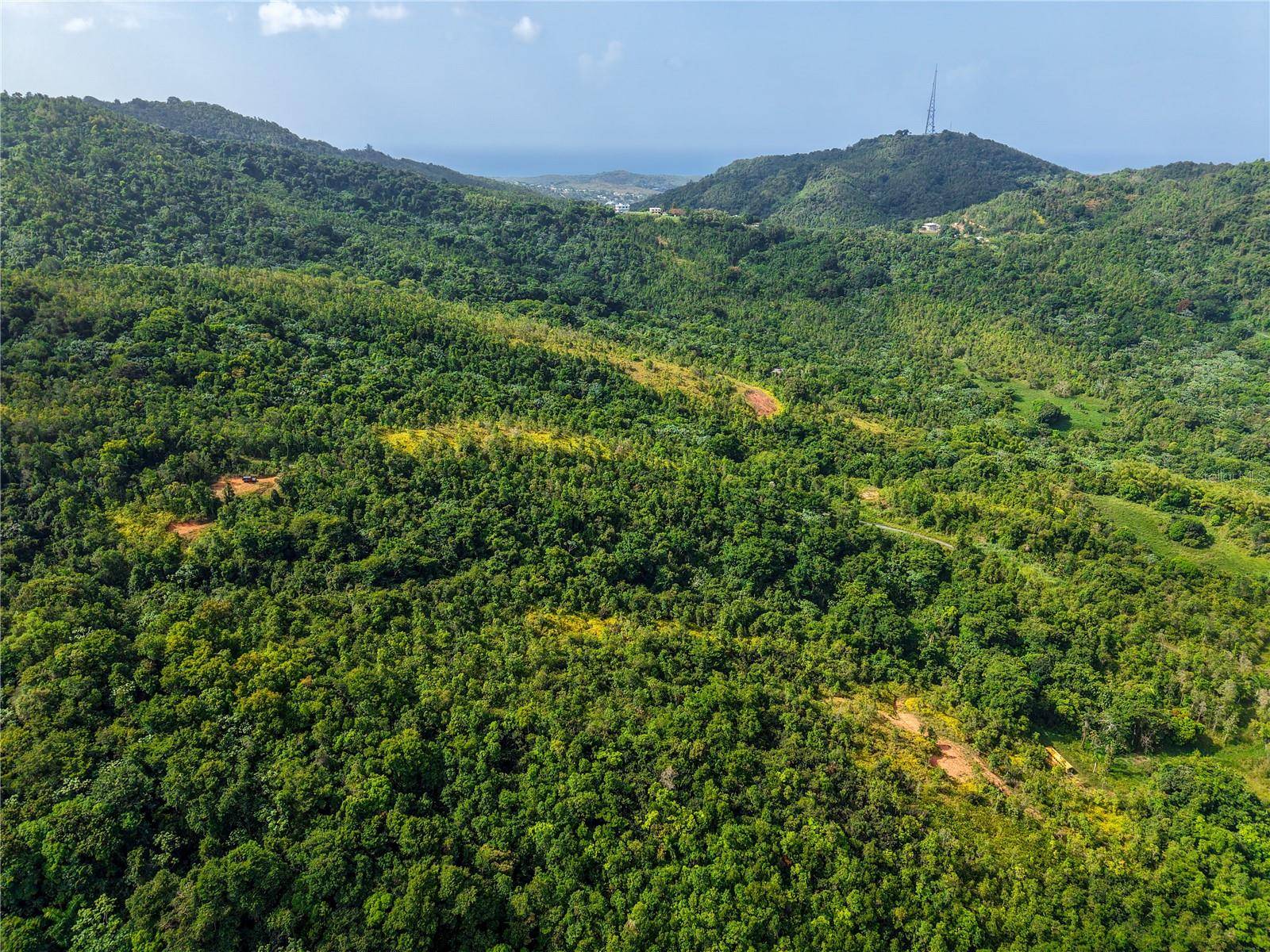 982 FINCAS DE NARANJO, Fajardo, PR 00738