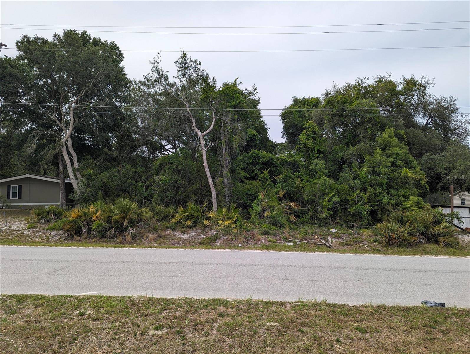 SPRUCE DR, Eustis, FL 32736