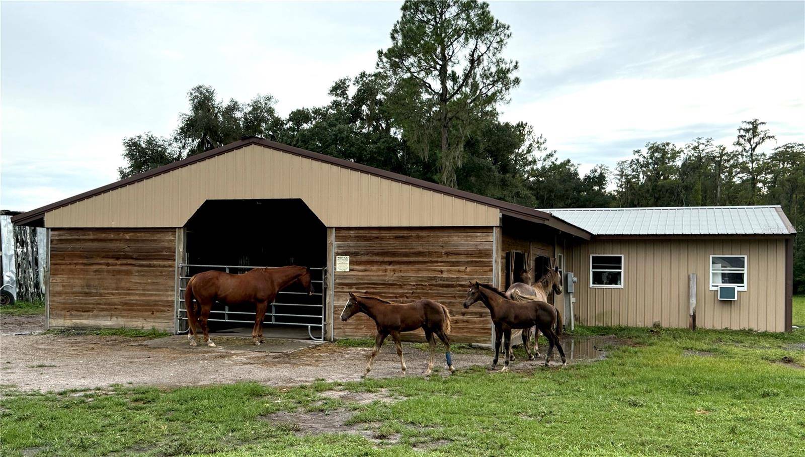 14875 CR 751, Webster, FL 33597