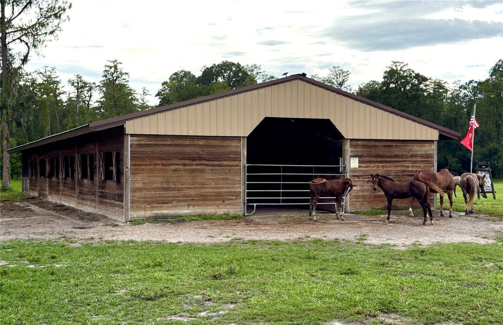 14875 CR 751, Webster, FL 33597