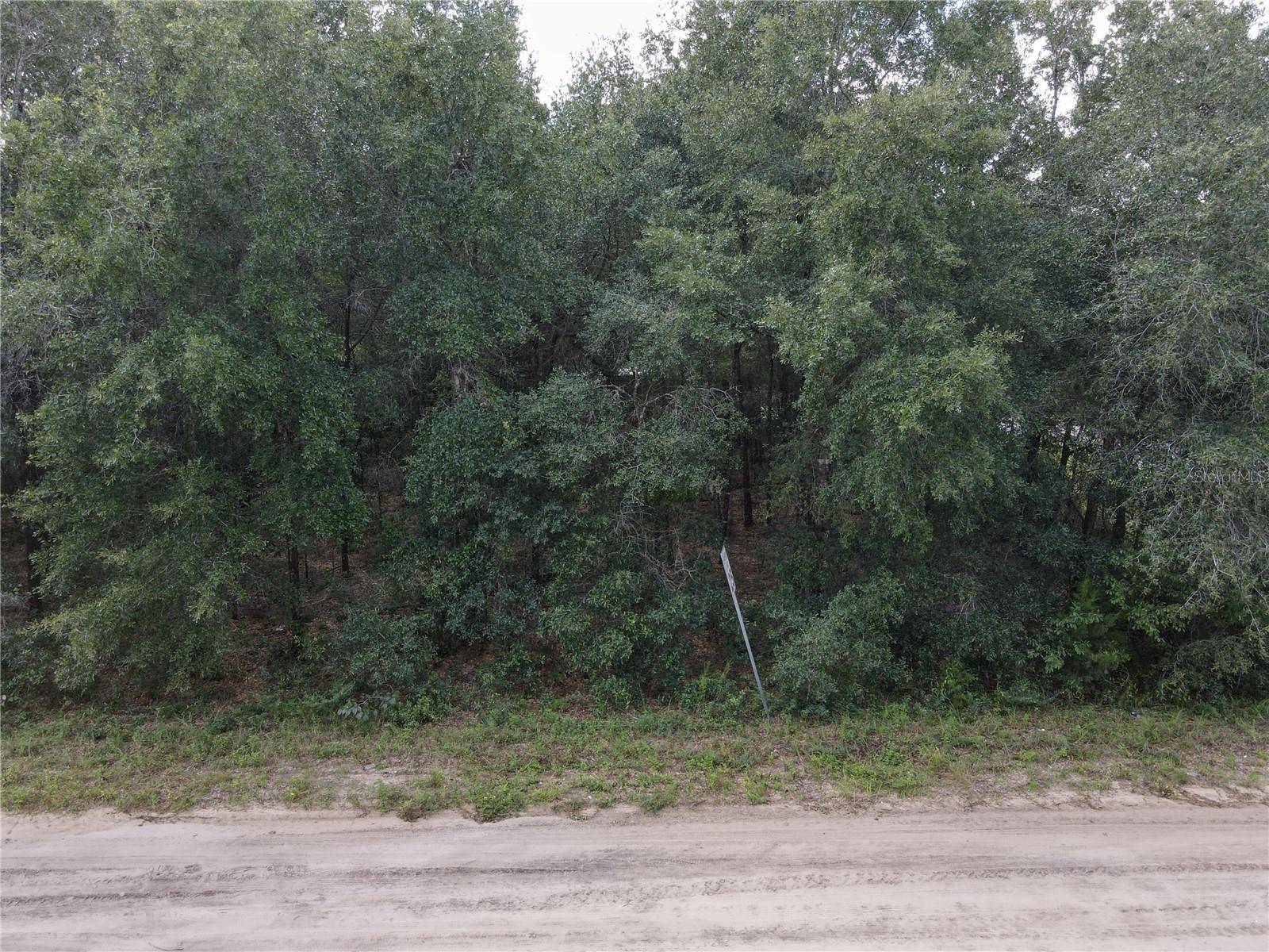 GUNNER AVE AVE, Interlachen, FL 32148