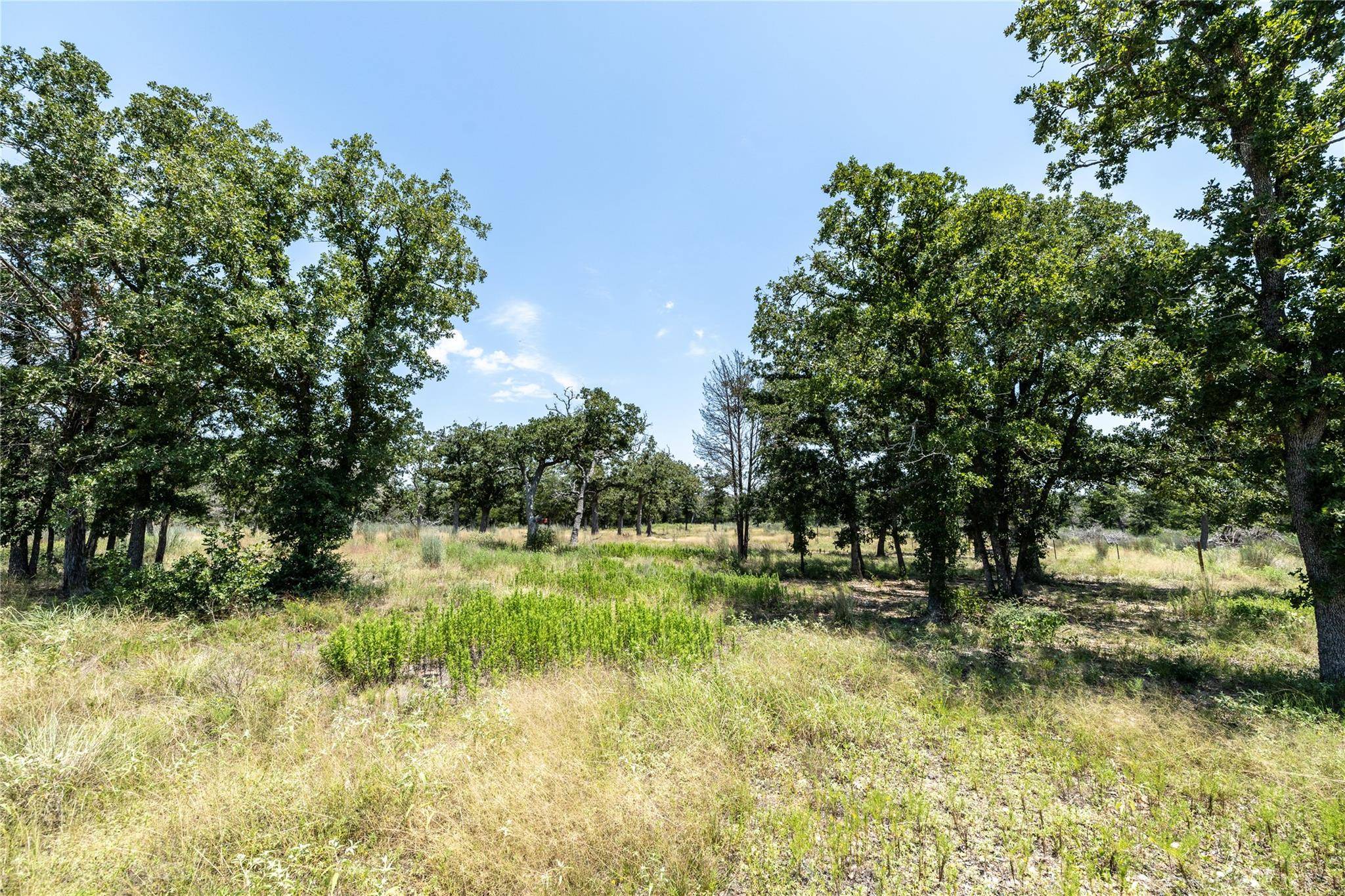 Tract 3 Edgewood Trail RD, Paige, TX 78659