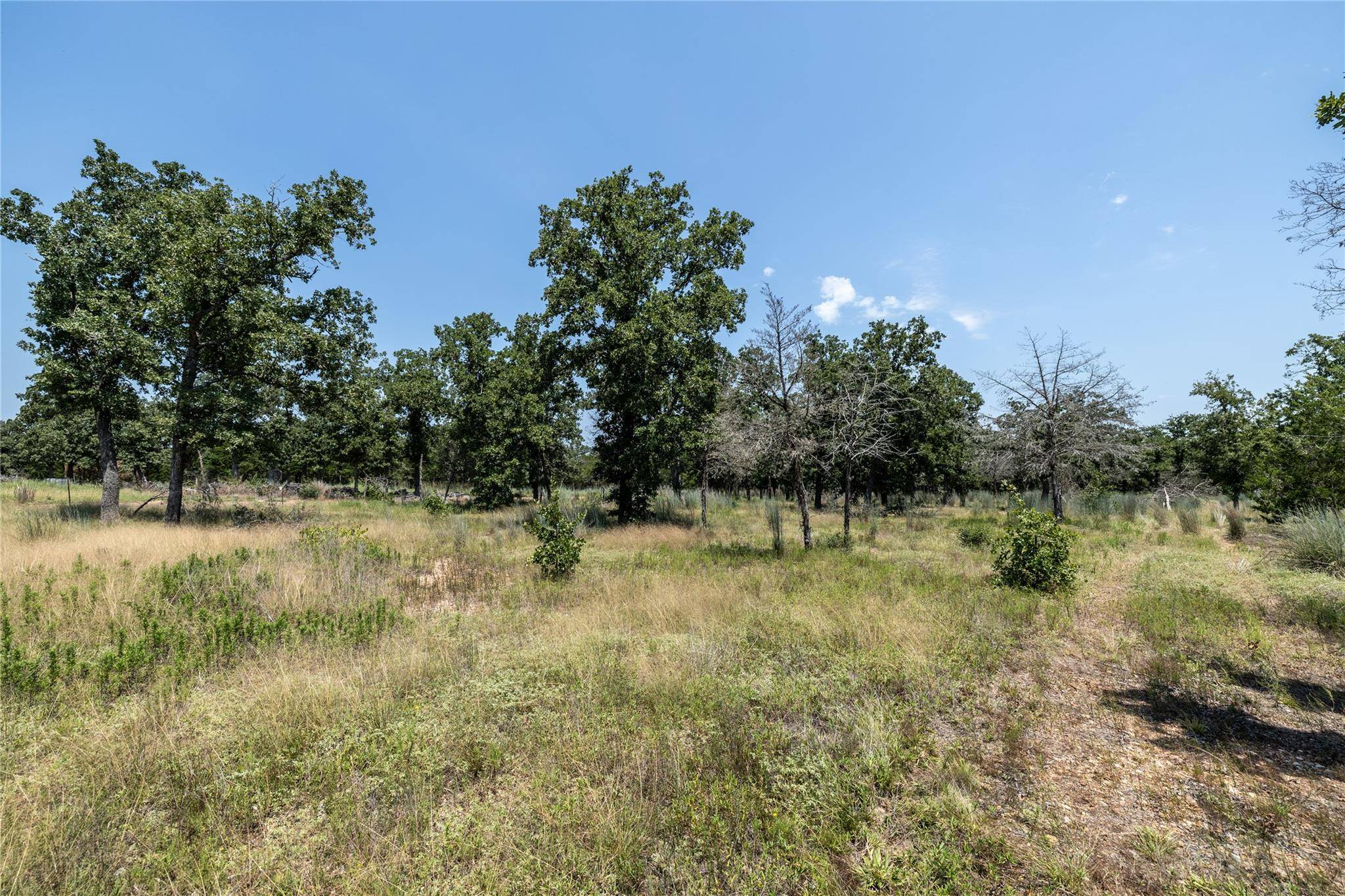 Tract 3 Edgewood Trail RD, Paige, TX 78659