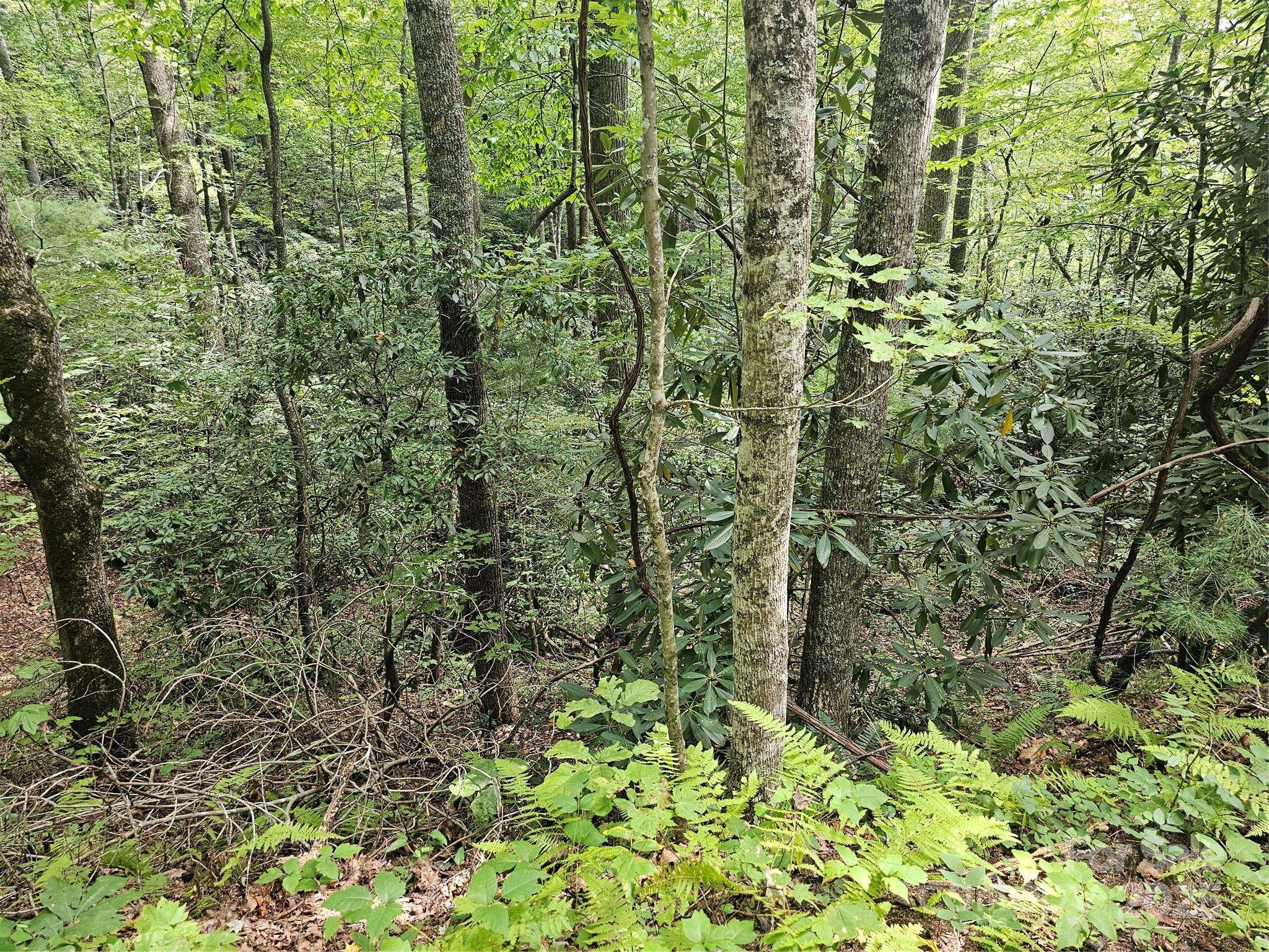 99999 Majestic TRCE #25, Hendersonville, NC 28739