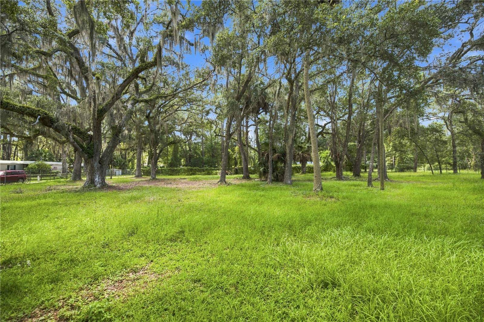 14200 NE 165TH ST, Fort Mc Coy, FL 32134