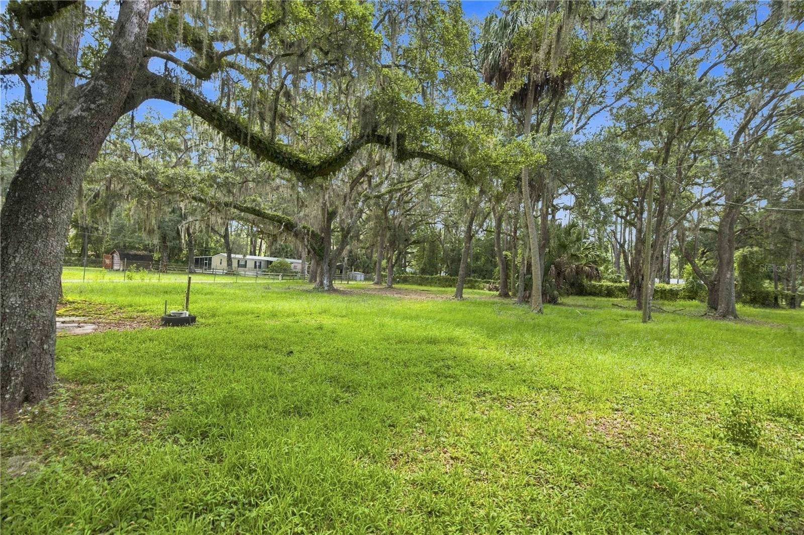 14200 NE 165TH ST, Fort Mc Coy, FL 32134