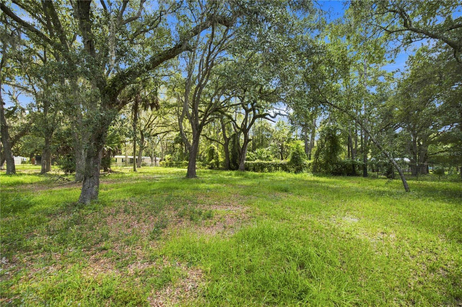 14200 NE 165TH ST, Fort Mc Coy, FL 32134