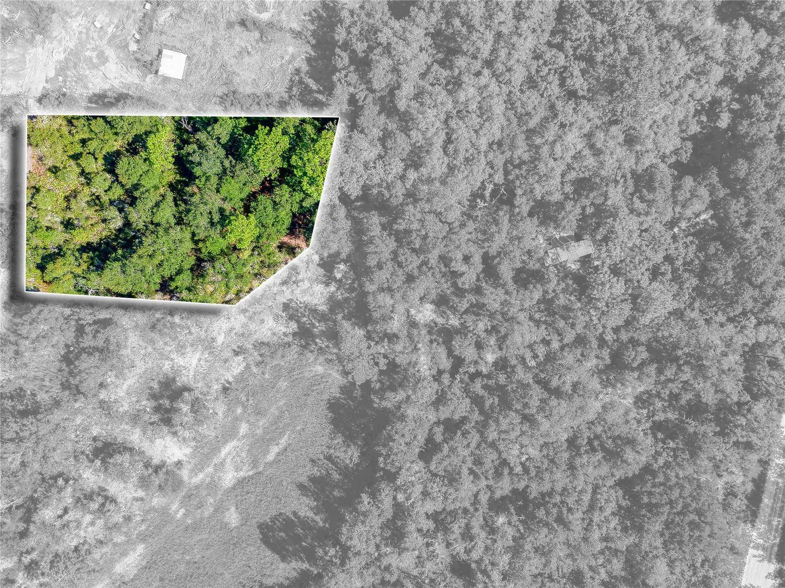 0 SANDSTONE ST, Webster, FL 33597