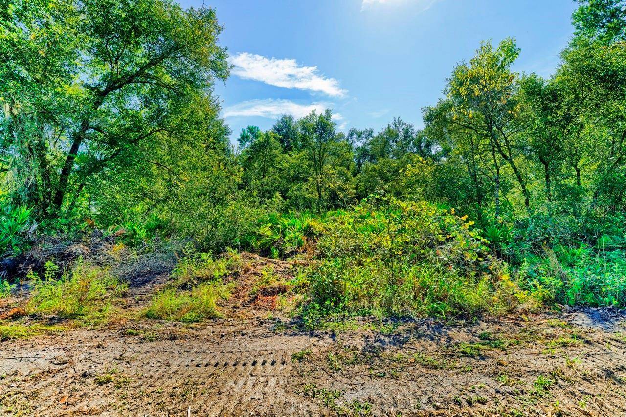 0 SANDSTONE ST, Webster, FL 33597