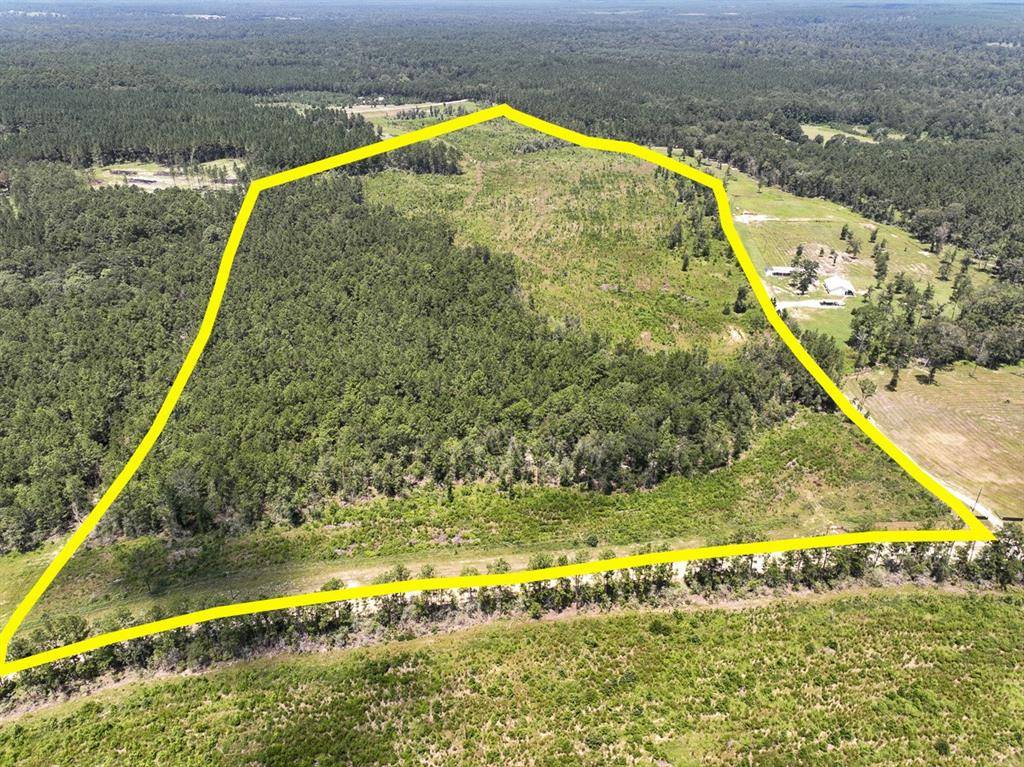 0007 Purvis Boulevard, Corrigan, TX 77351
