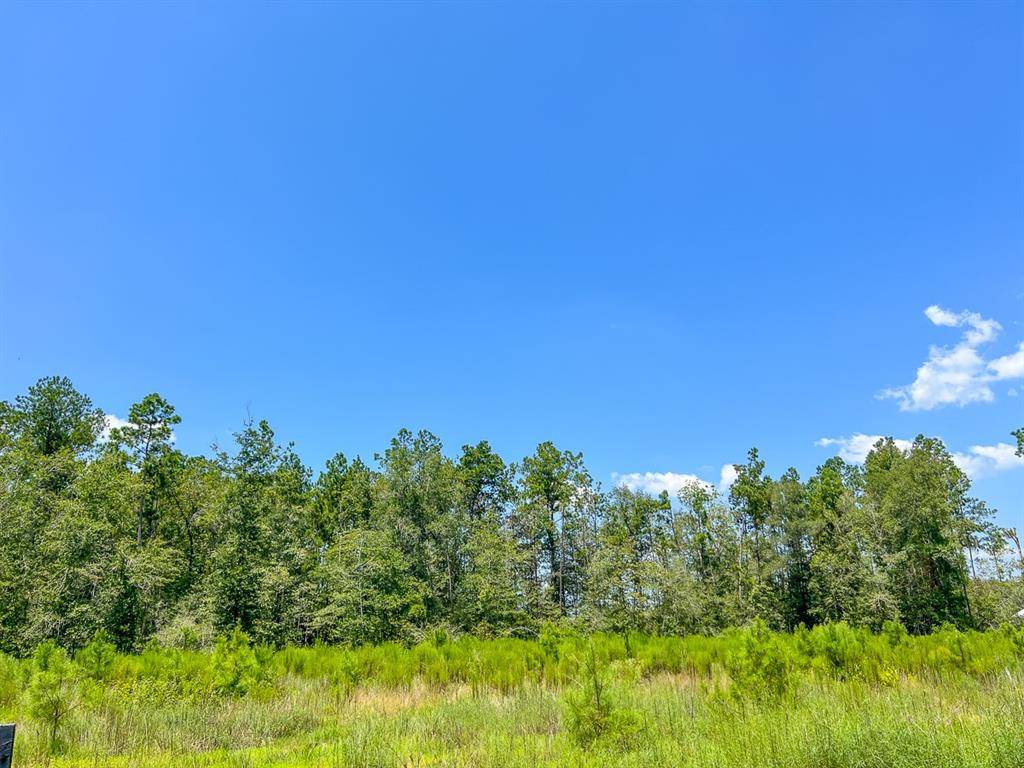 0007 Purvis Boulevard, Corrigan, TX 77351