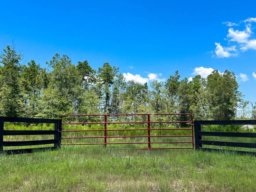 0007 Purvis Boulevard, Corrigan, TX 77351