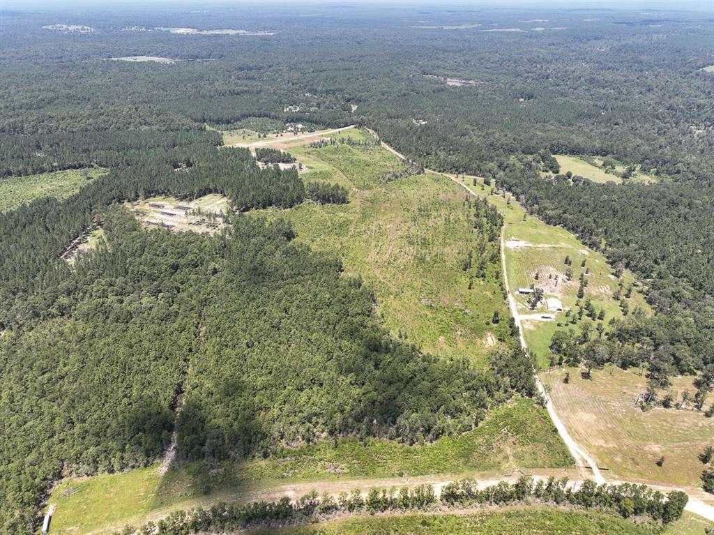 0007 Purvis Boulevard, Corrigan, TX 77351