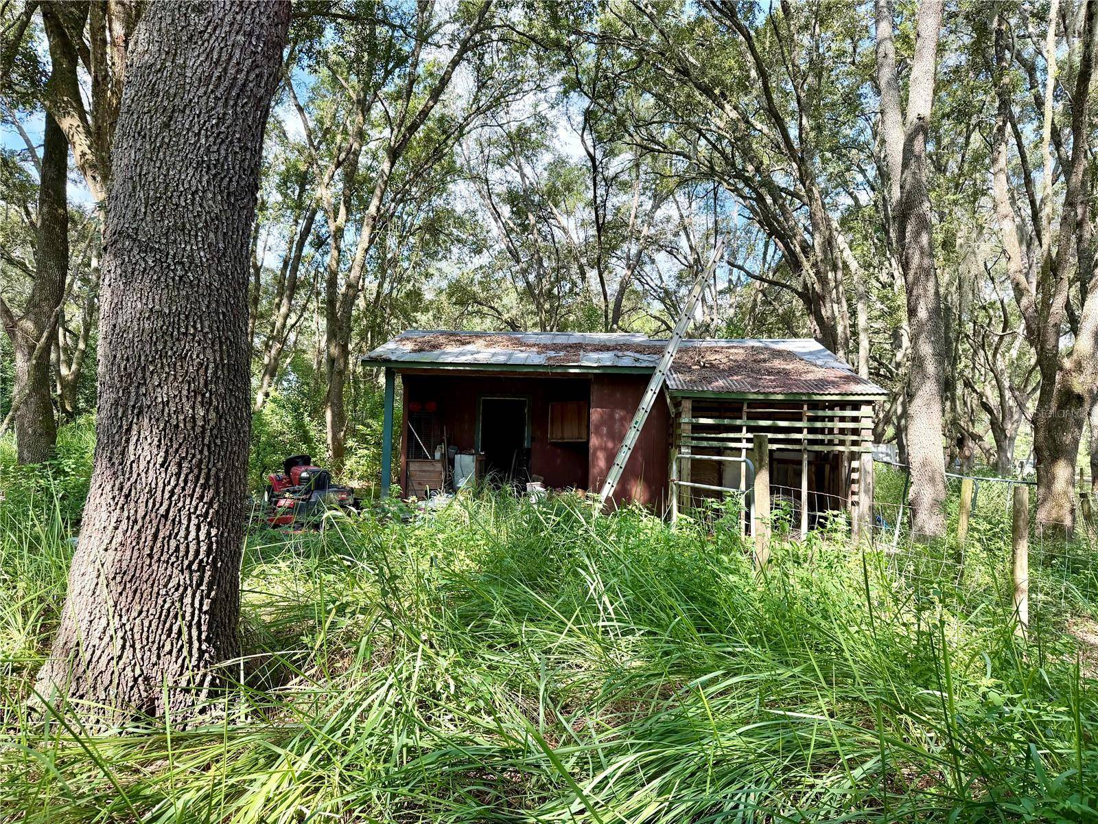 11324 EM EN EL GROVE RD, Leesburg, FL 34788