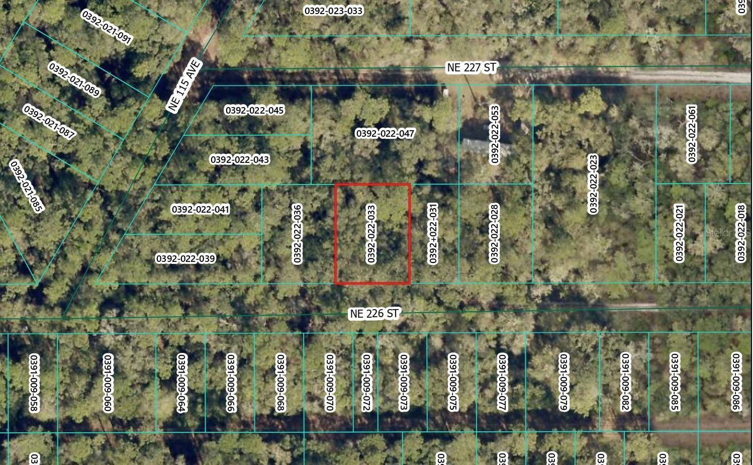NE 226TH ST, Orange Springs, FL 32182