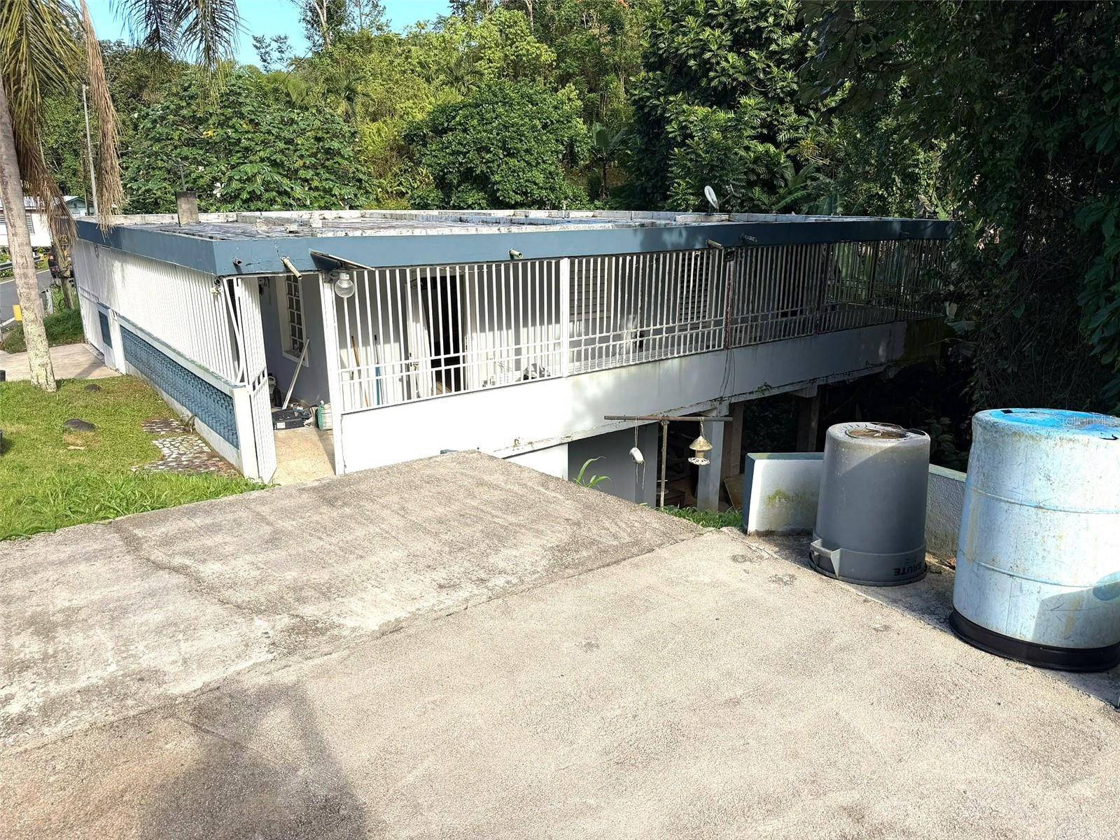 PR 156 MULAS WARD, Aguas Buenas, PR 00703