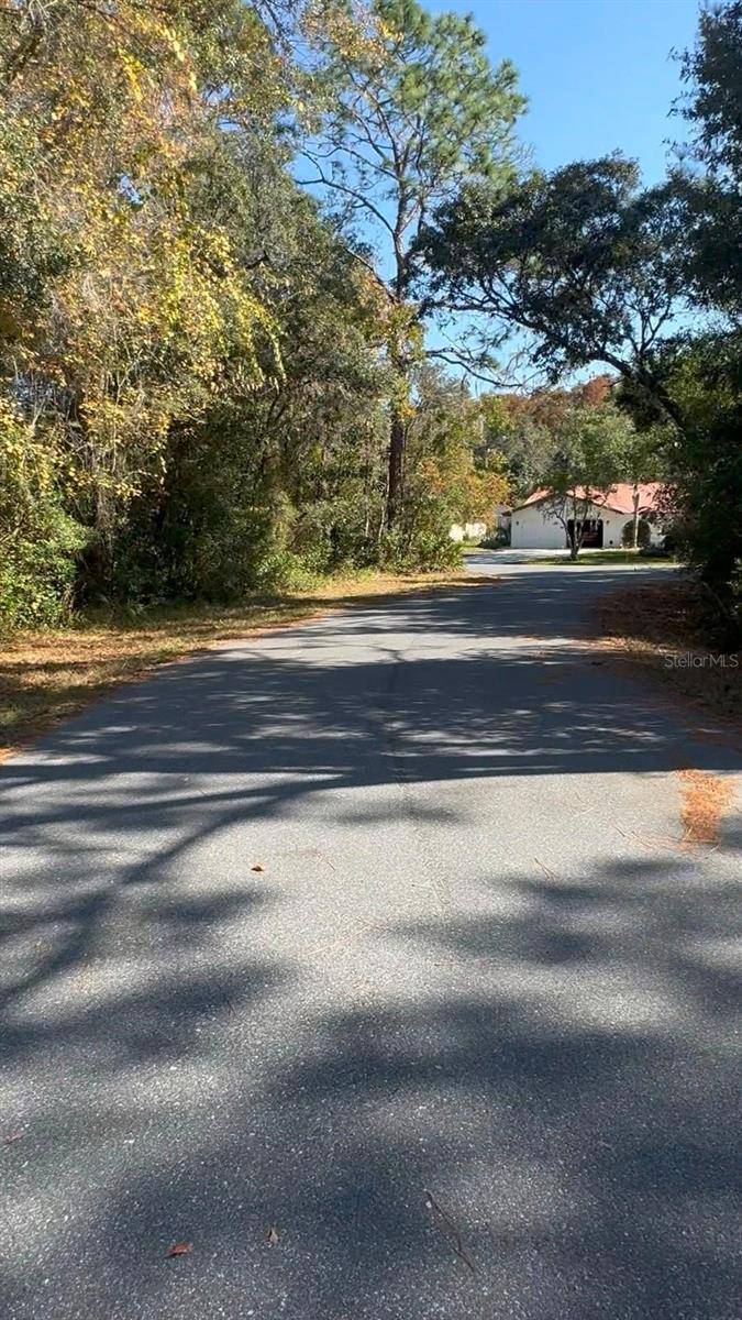 26 WILD OLIVE CT, Homosassa, FL 34446