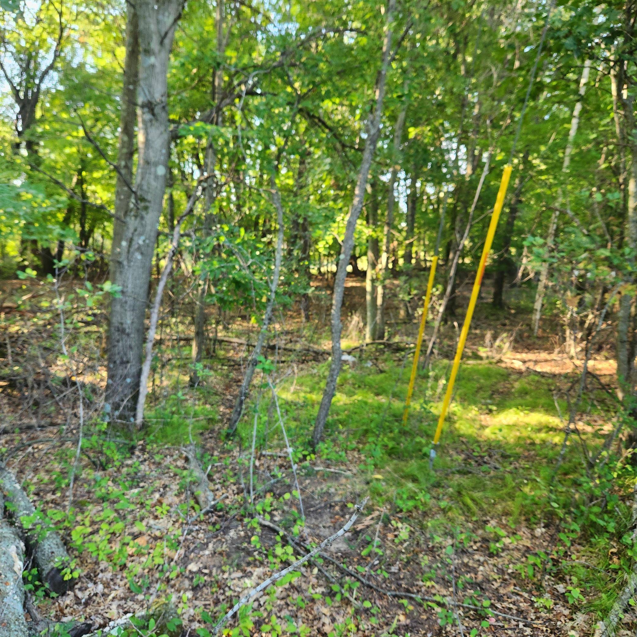 TBD 241st LN, Bethel, MN 55005