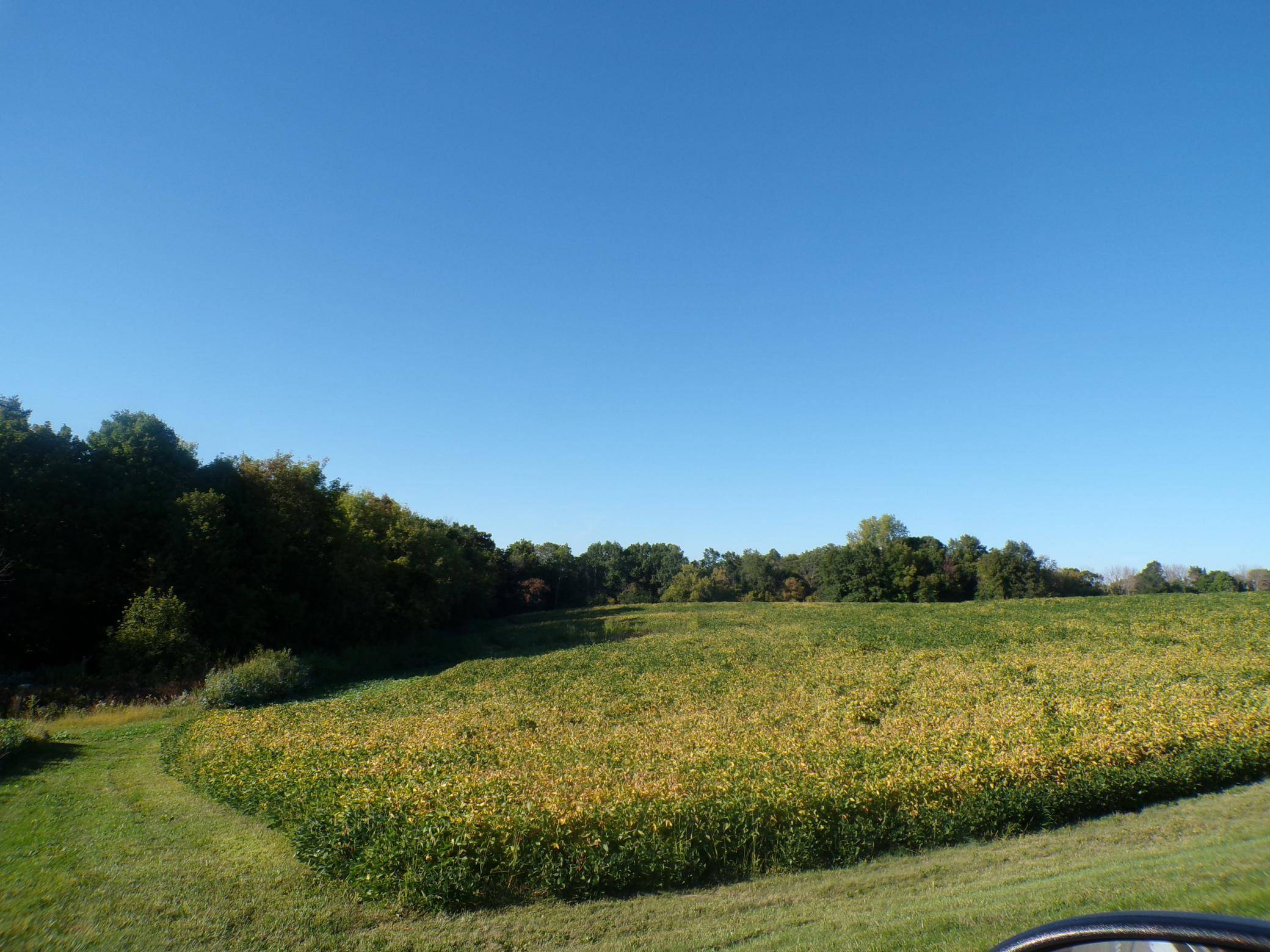 W8028 320th AVE, Hager City, WI 54014