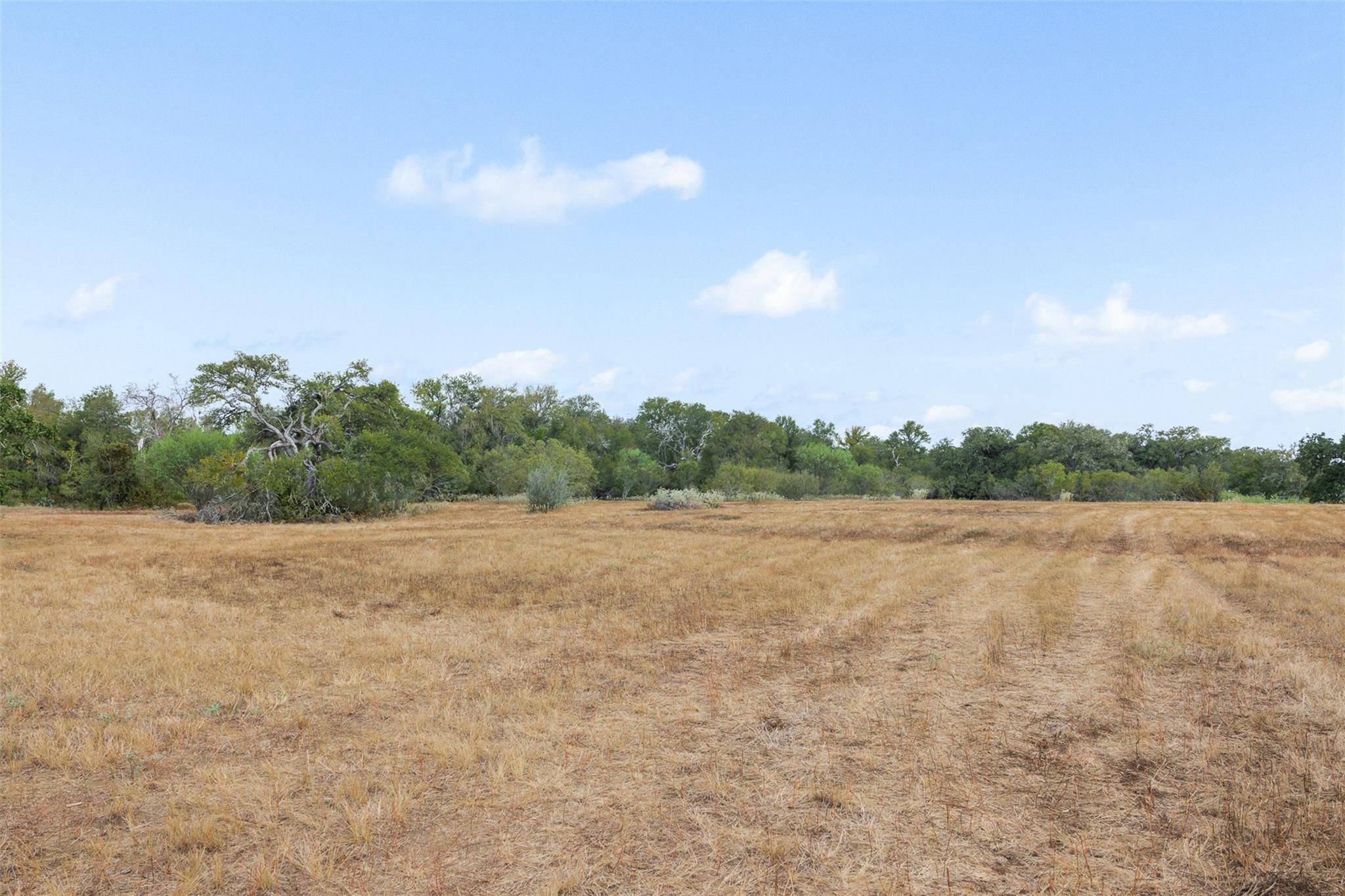 Tract 6 Fm 713, Dale, TX 78616