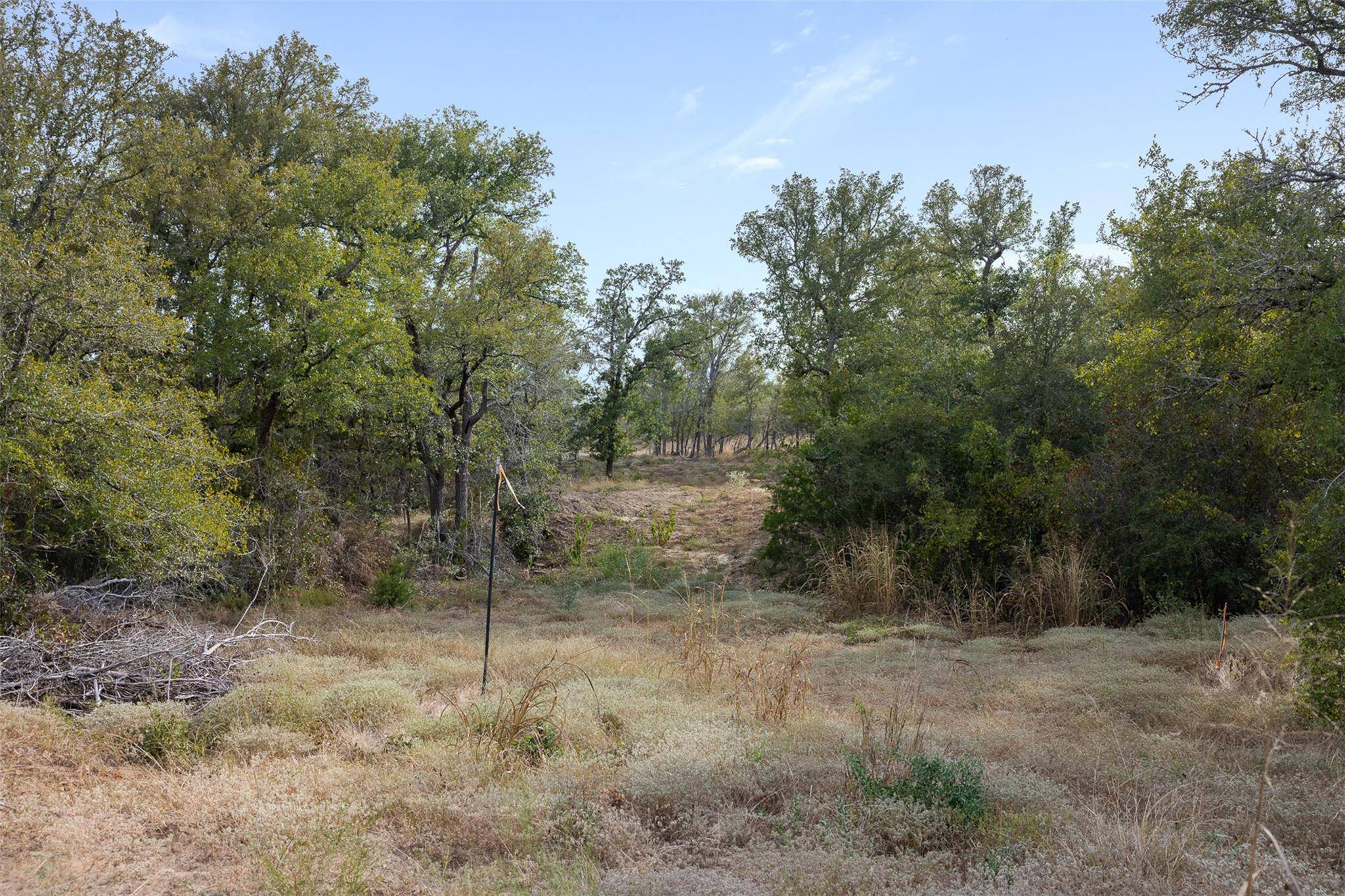 Tract 6 Fm 713, Dale, TX 78616