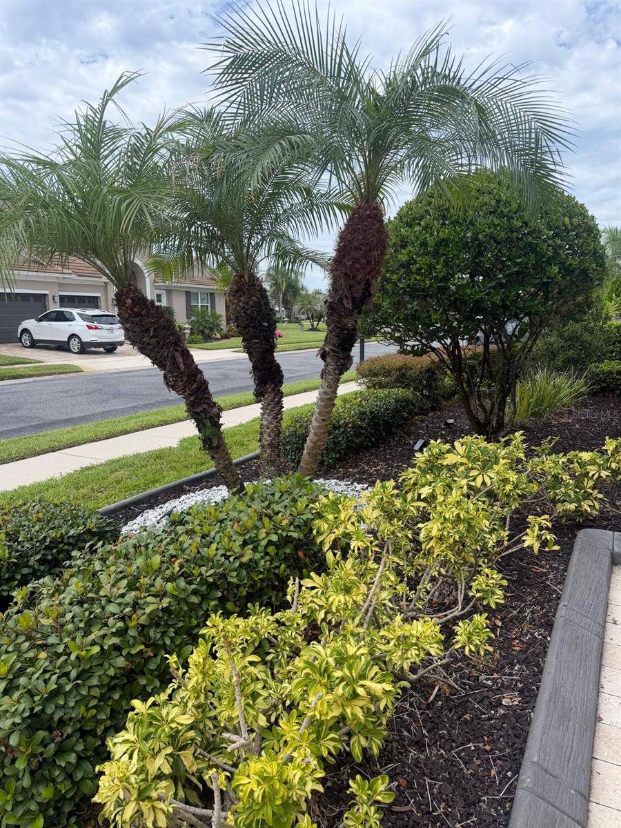 2100 SHERBROOK AVE, Davenport, FL 33837