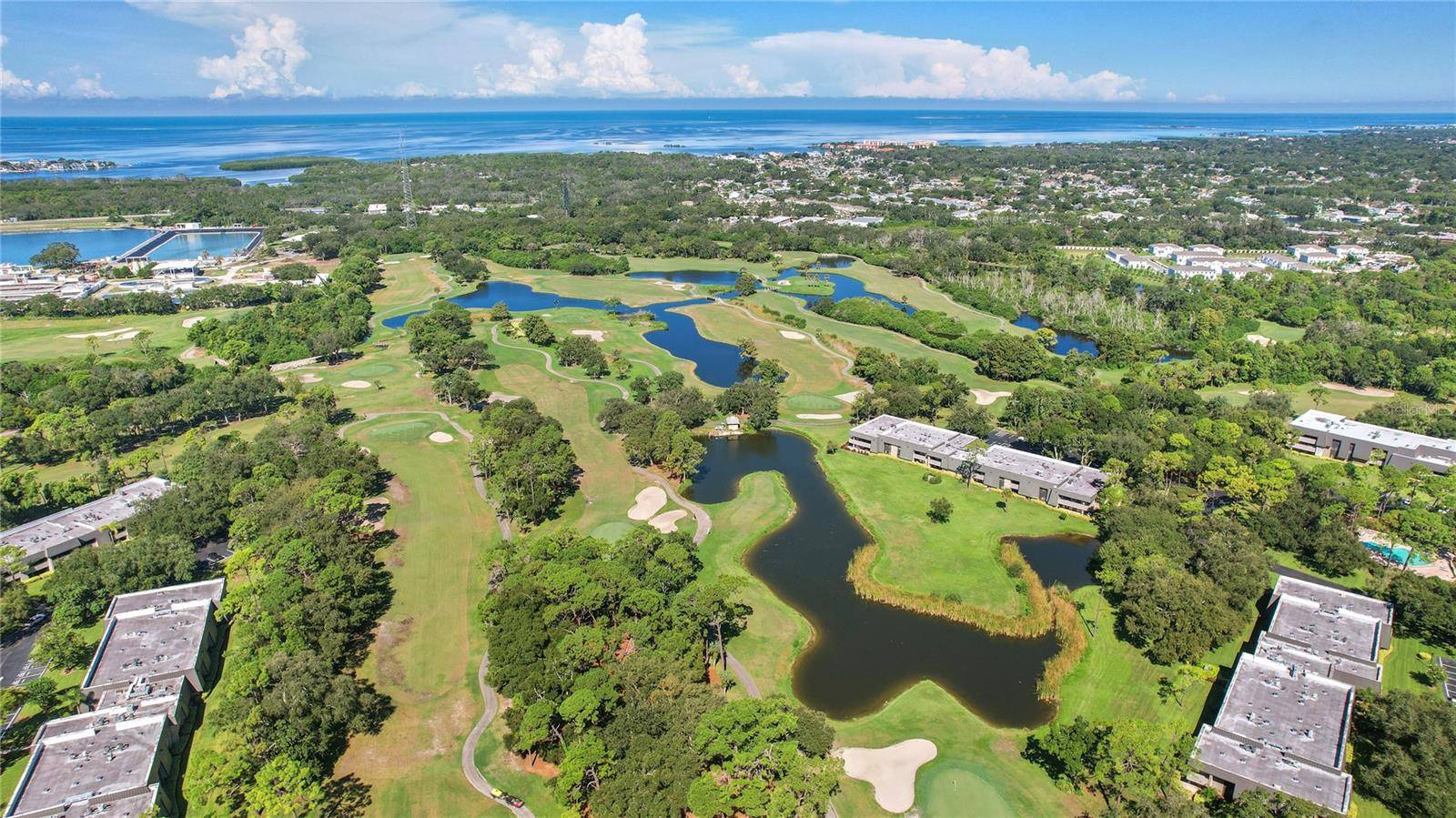 36750 US HIGHWAY 19 N #20-307 #307, Palm Harbor, FL 34684