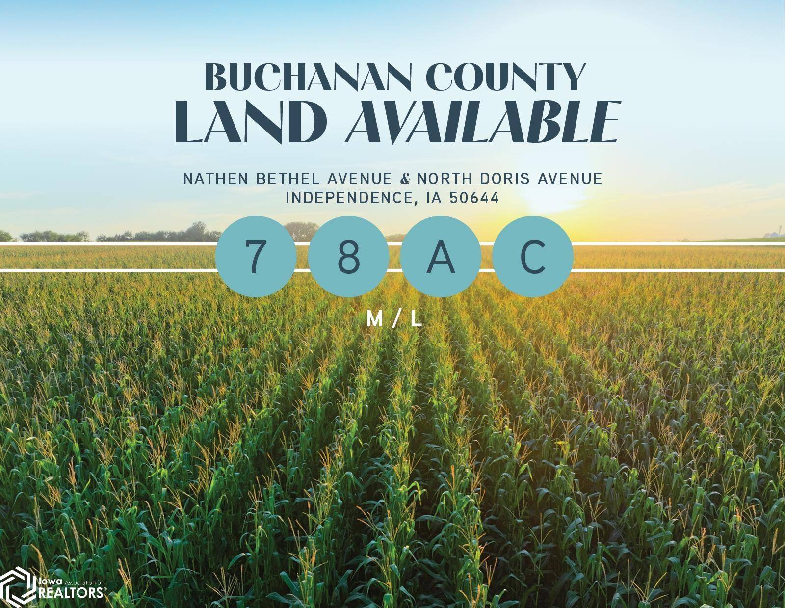 Nathen Bethel AVE, Independence, IA 50644
