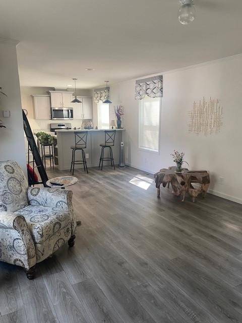 603 SW 14th Avenue #2, Grand Rapids, MN 55744