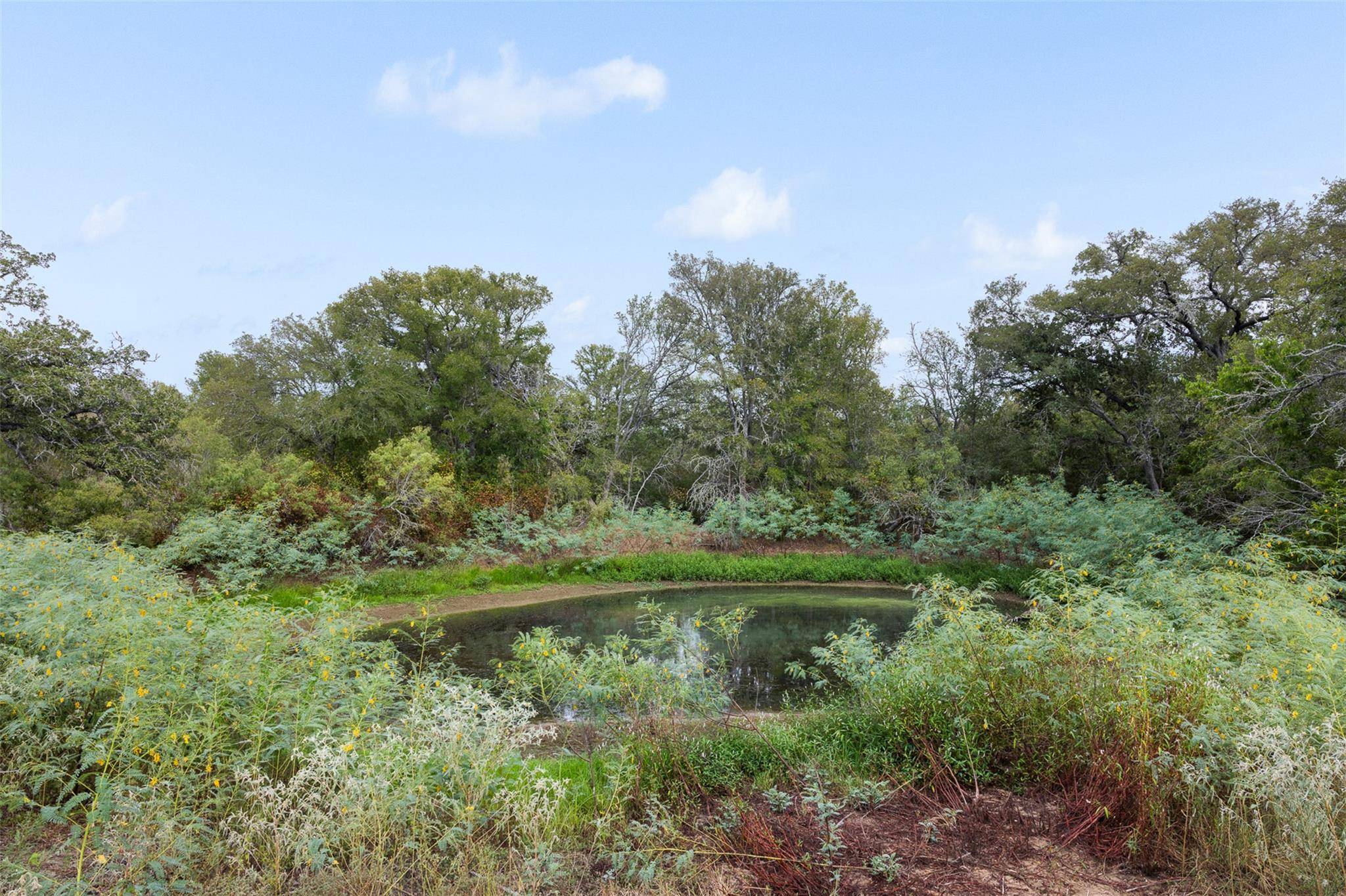 Tract 6 Fm 713, Dale, TX 78616