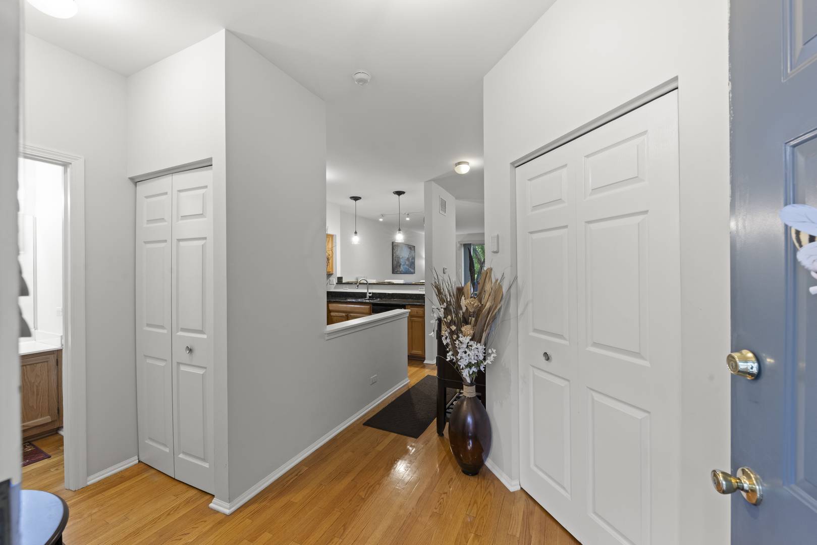 276 Sierra Pass DR, Schaumburg, IL 60194
