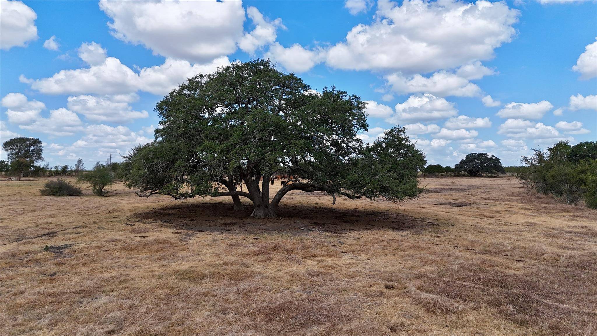 Tract 3 County Road 366, Shiner, TX 77984
