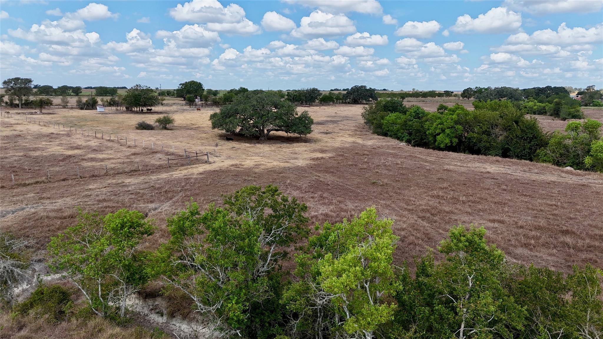 Tract 3 County Road 366, Shiner, TX 77984