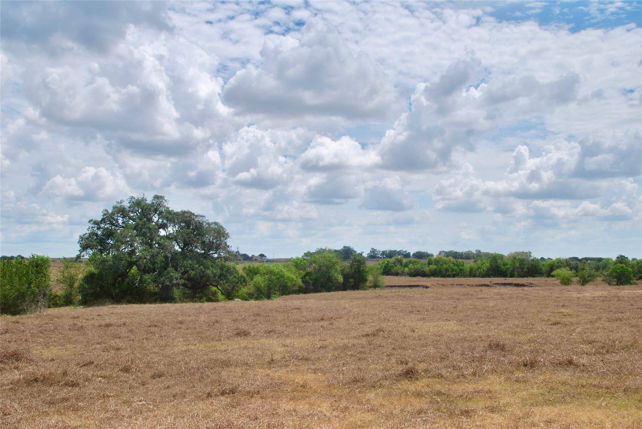 Tract 4 County Road 366, Shiner, TX 77984
