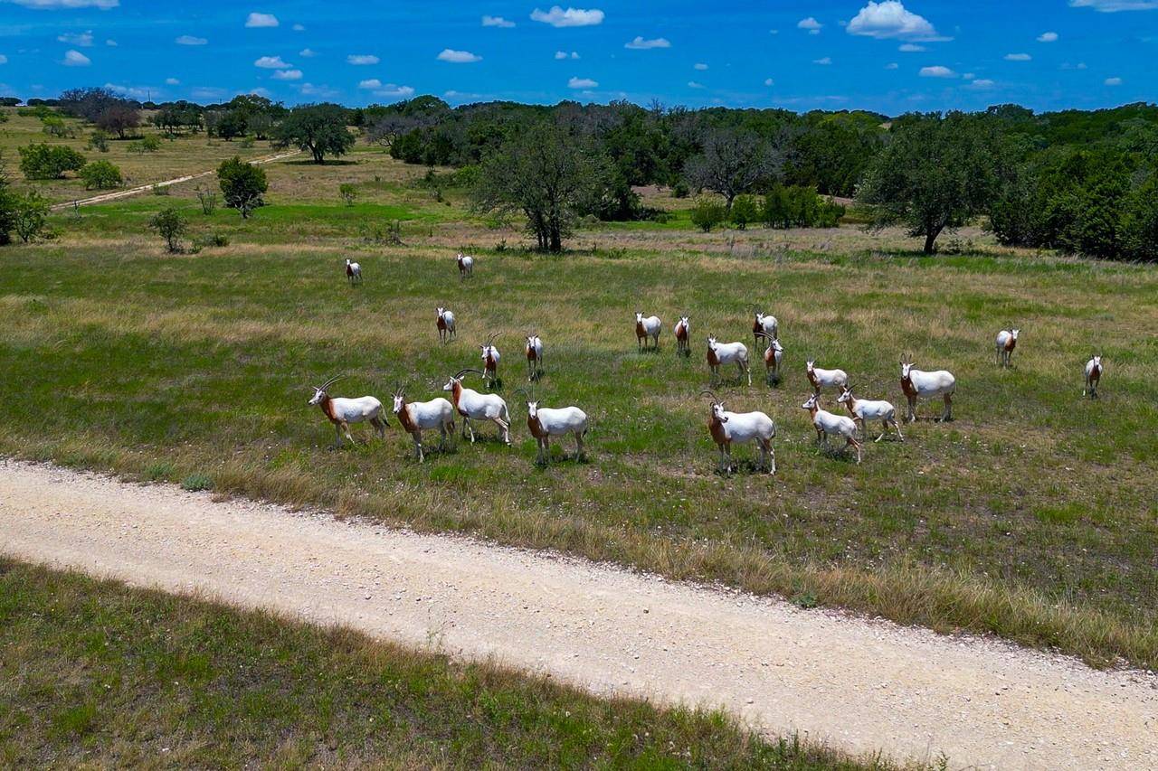 1480 Harmon RD, Copperas Cove, TX 76522