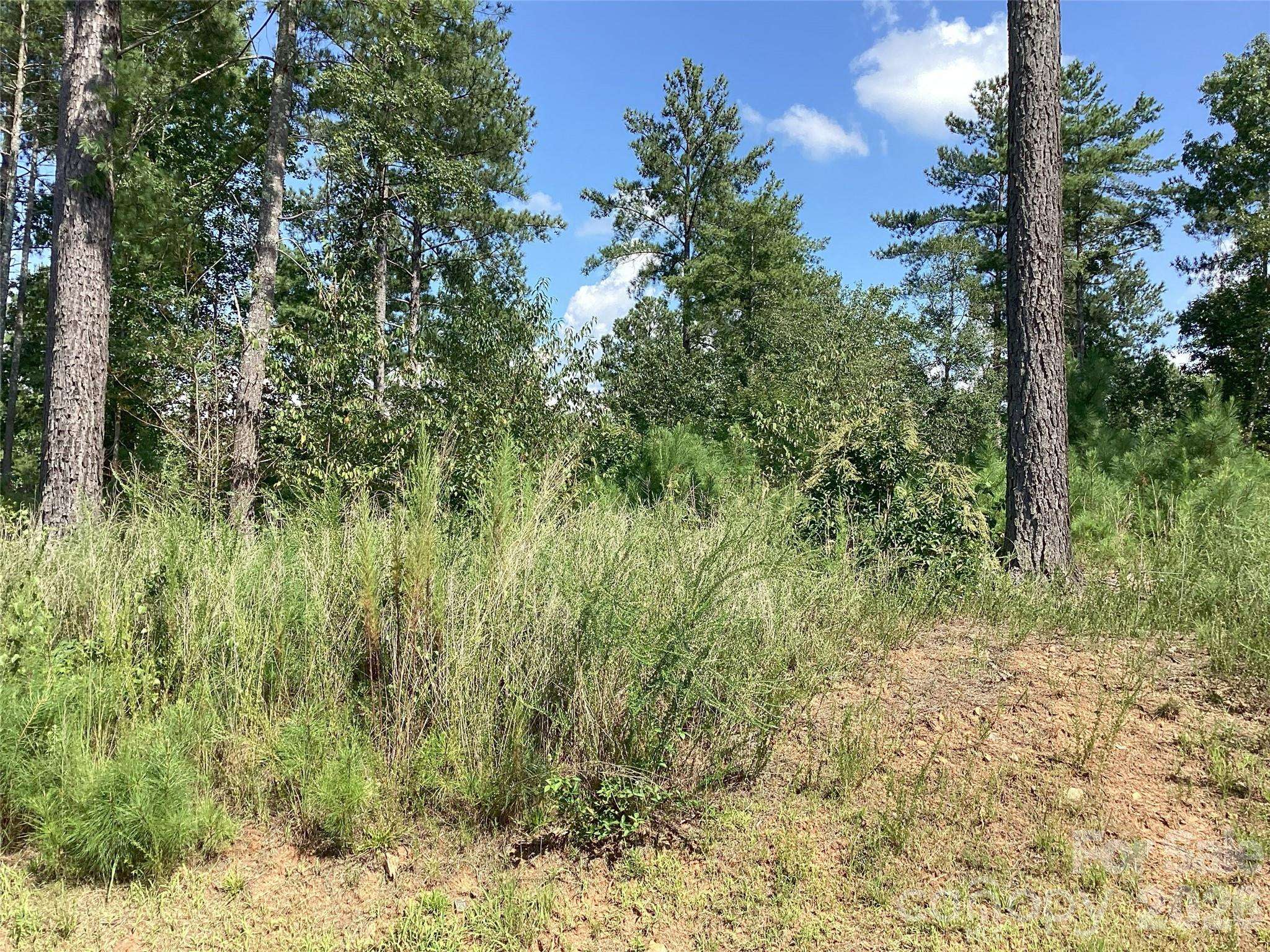 3292 Pyramid Peak TRL #211, Connelly Springs, NC 28612