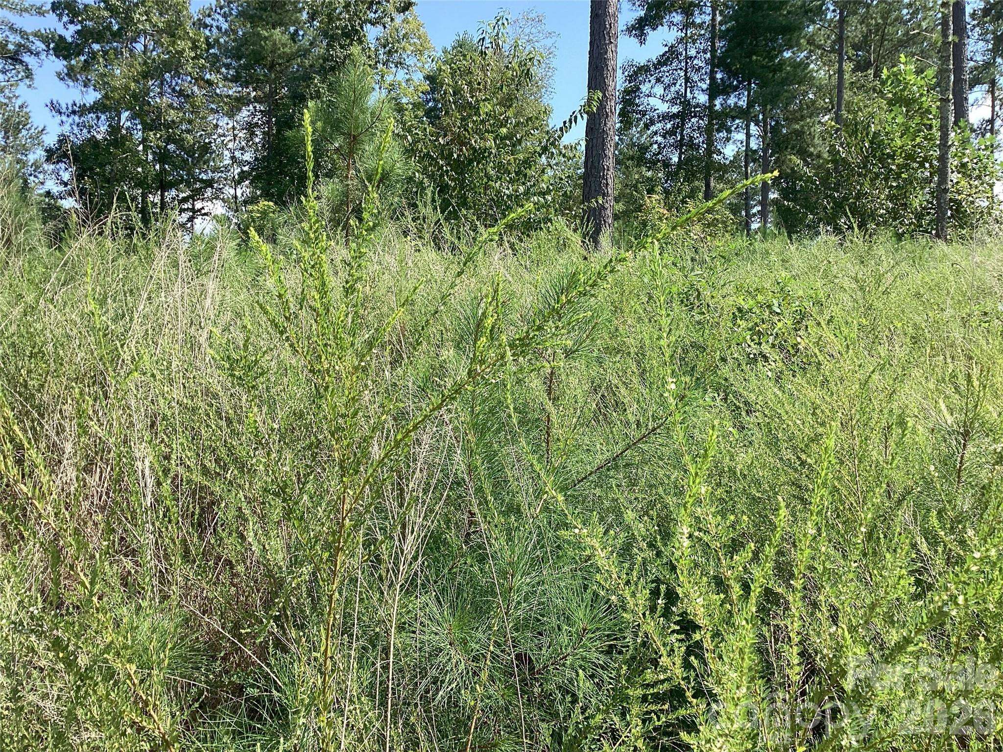 3292 Pyramid Peak TRL #211, Connelly Springs, NC 28612