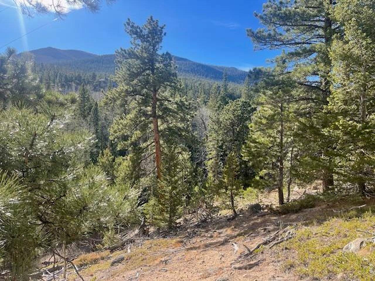 399 N Skinner, Allenspark, CO 80510