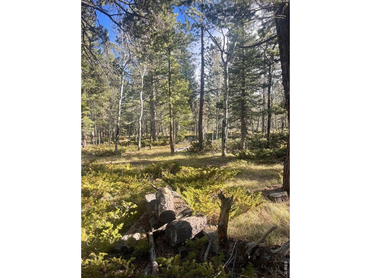 399 N Skinner, Allenspark, CO 80510