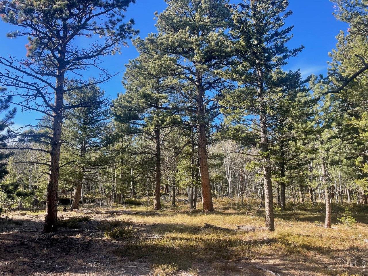 399 N Skinner, Allenspark, CO 80510