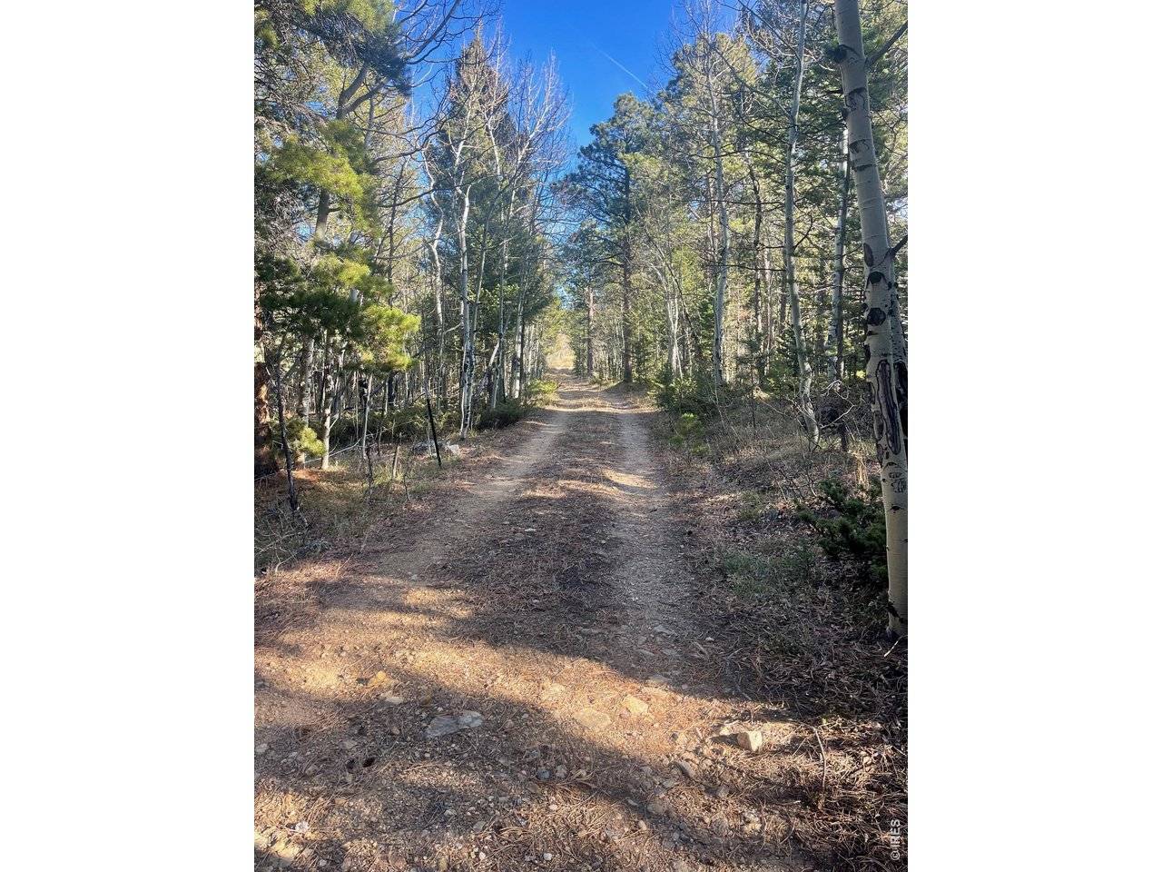 399 N Skinner, Allenspark, CO 80510