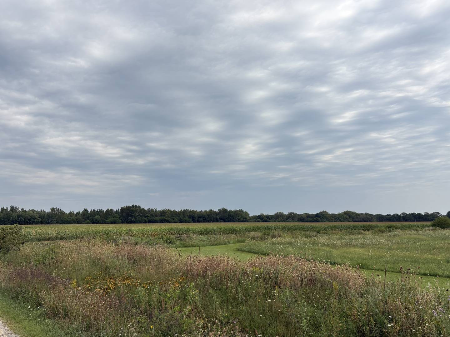 00 W Rt 113, Custer Park, IL 60481