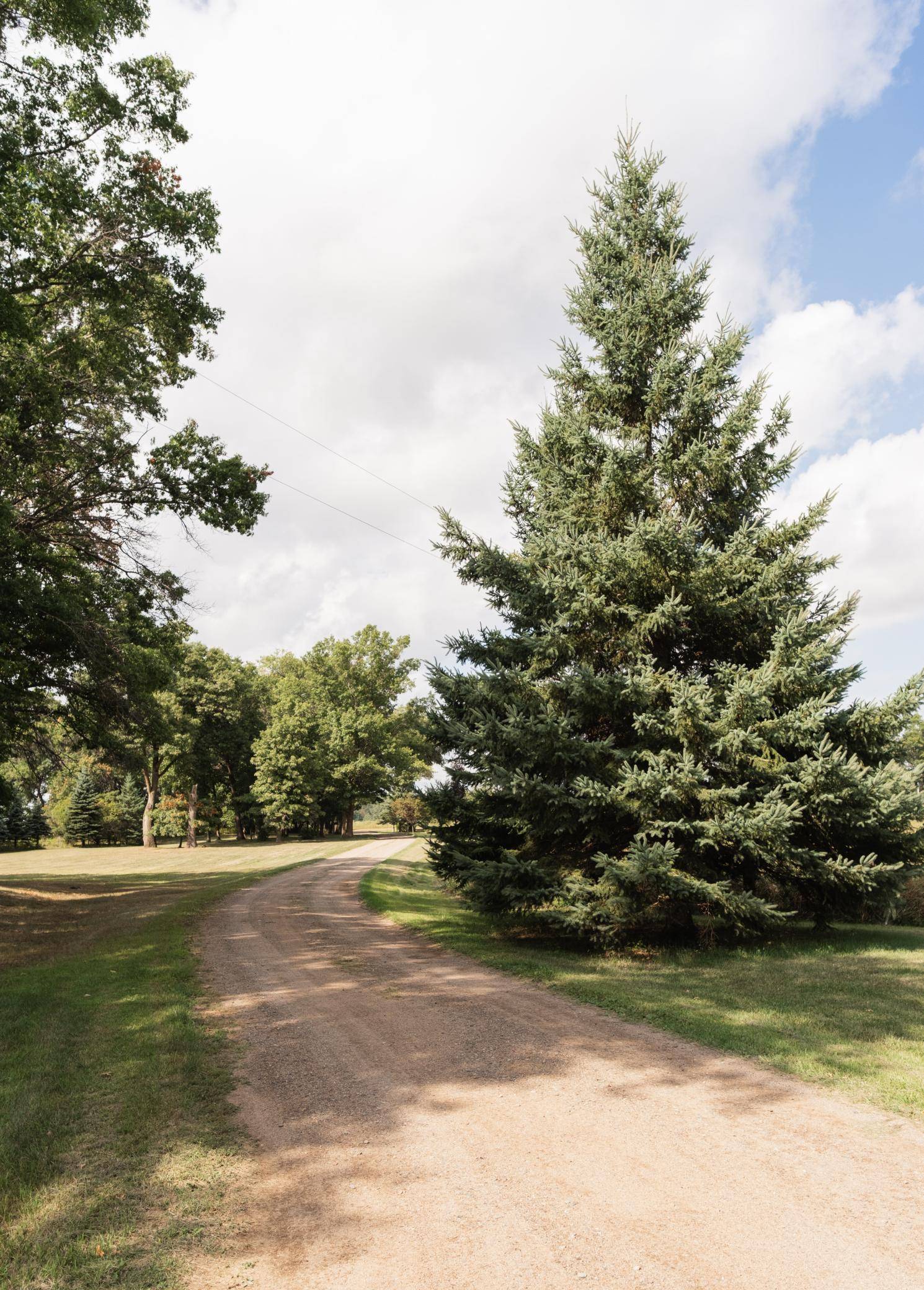 15777 Harness RD, Little Falls, MN 56345