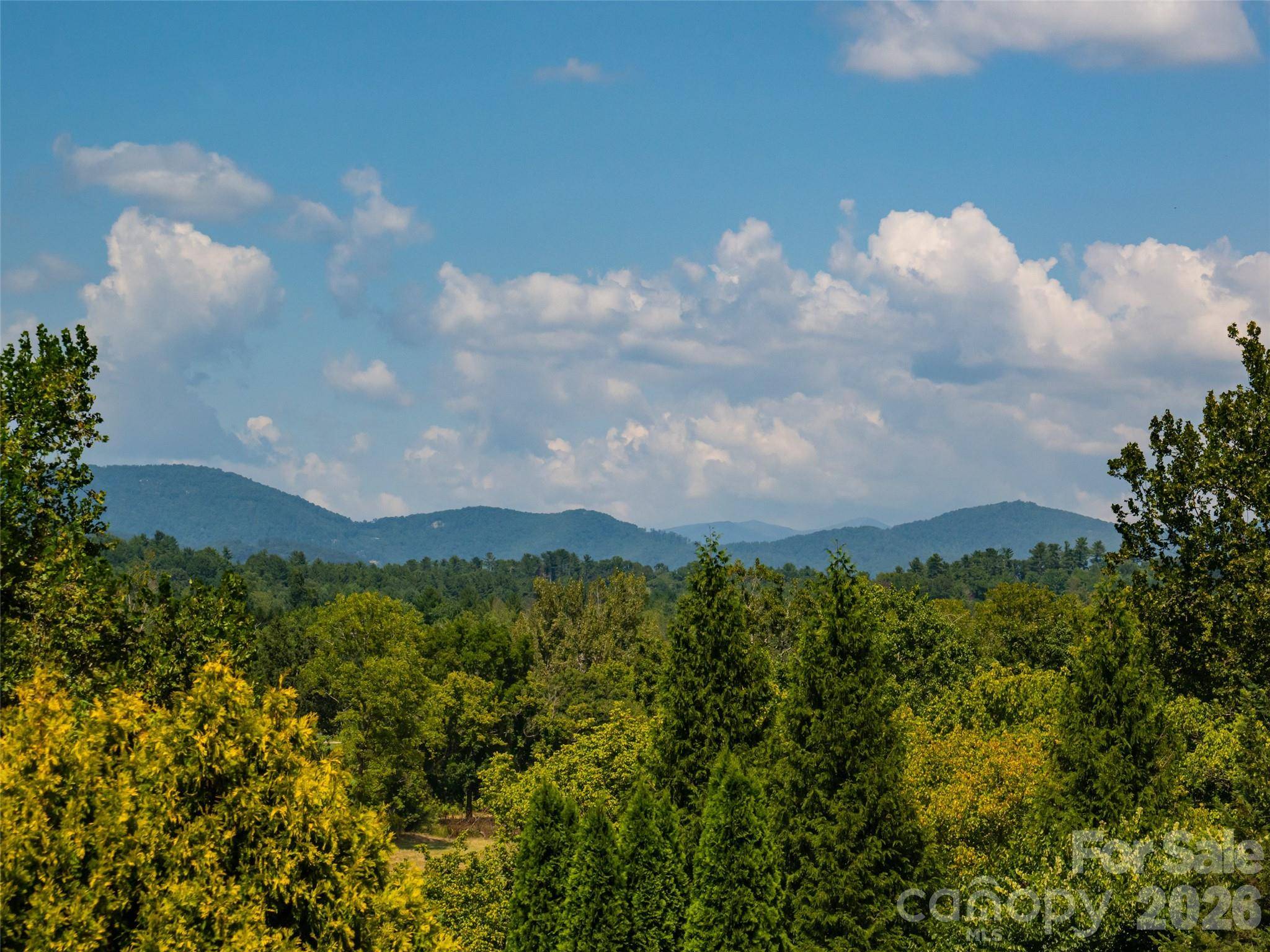 3 Blue Heron DR, Fletcher, NC 28732